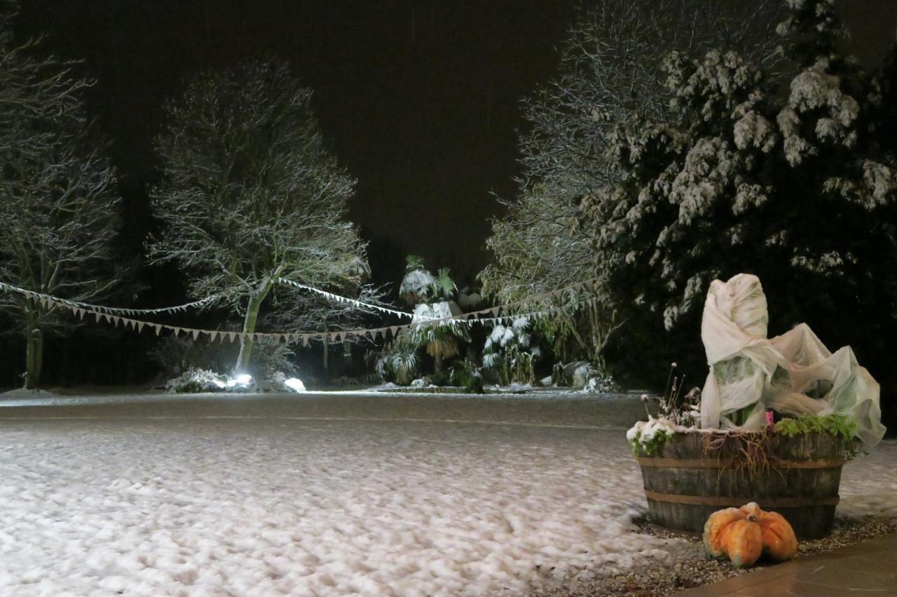 Da Gastone Villa Rivignano ภายนอก รูปภาพ